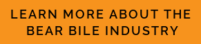 learn-more-about-bear-bile