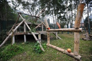 AAF_JMcArthur-2946 - Animals Asia Home