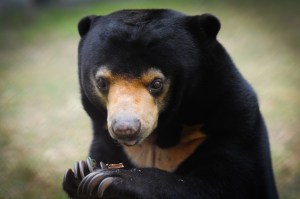 AAF_JMcArthur-3922 - Arkte