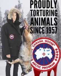 0c44b299-267f-4293-b82c-fbc6a641cbb8