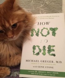 4144b193-3014-4b9e-a536-aaf1d0ea1406