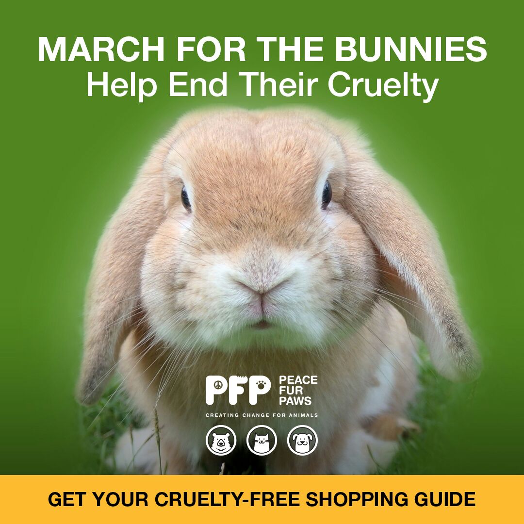 Marchforanimals March for Bunnies: Cruelty-Free Guide – Peace Fur Paws