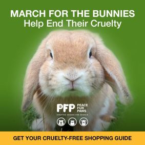 March for bunnies square