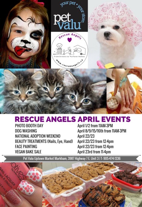 RESCUE ANGELS APRIL EVENTS