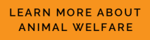 learn-more-about-animal-welfare-button-2