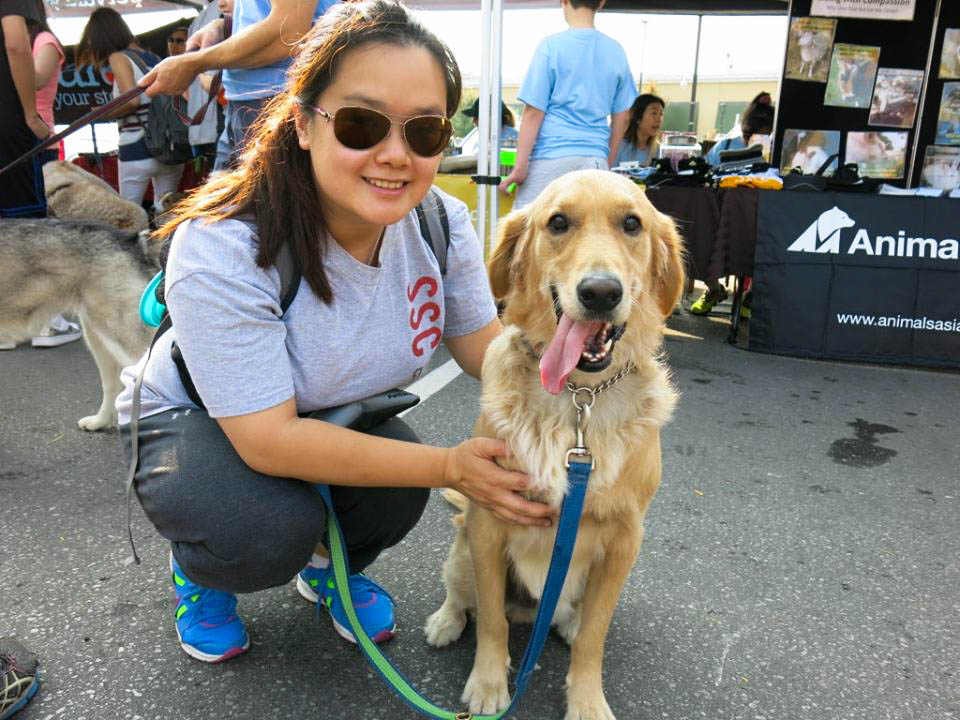 2017-5kwalk1-2-edited