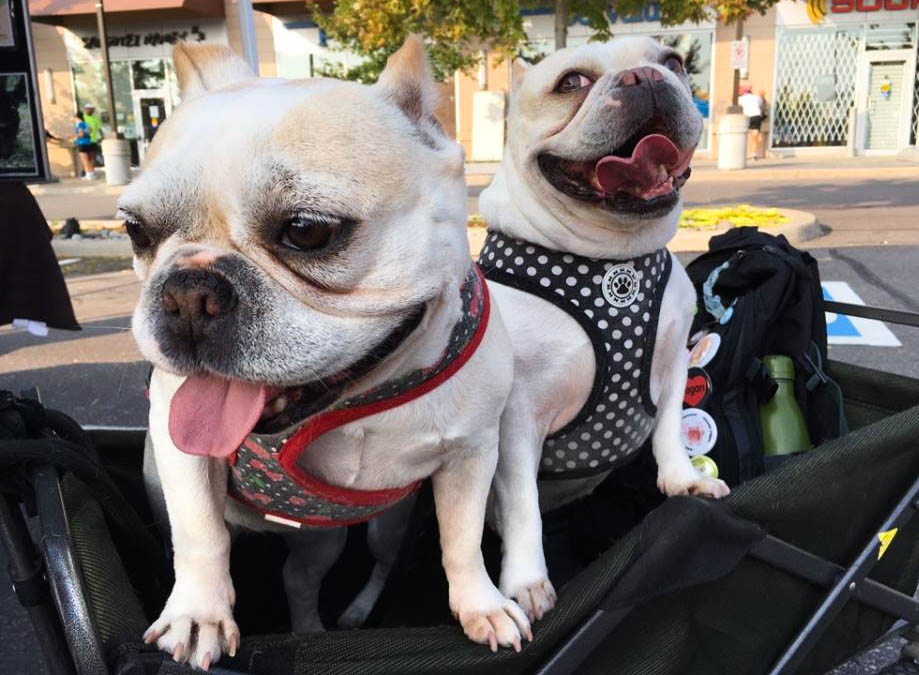 2017-5kwalk7-1-edited