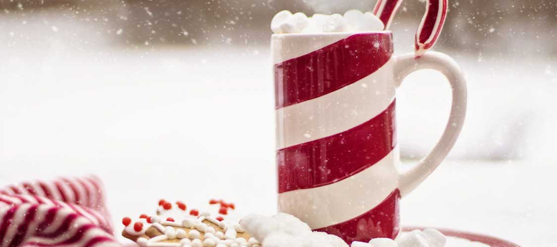 Vegan Holiday Recipes