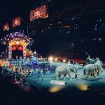 circus5