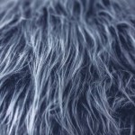 fur