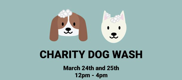 Charity Dog Wash March 24-25th from&nbsp;12-4pm