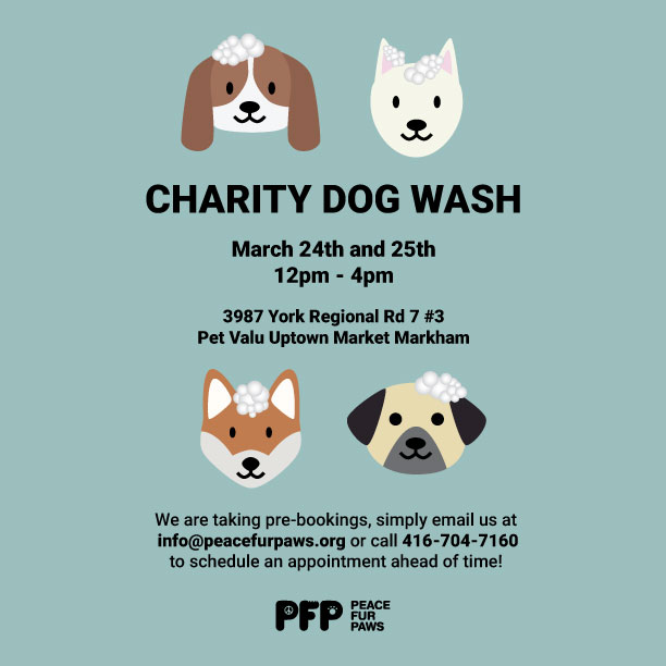 pfp-dogwash-final-social-media