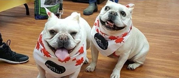 Thanks for Supporting Our Charity Dog&nbsp;Wash!