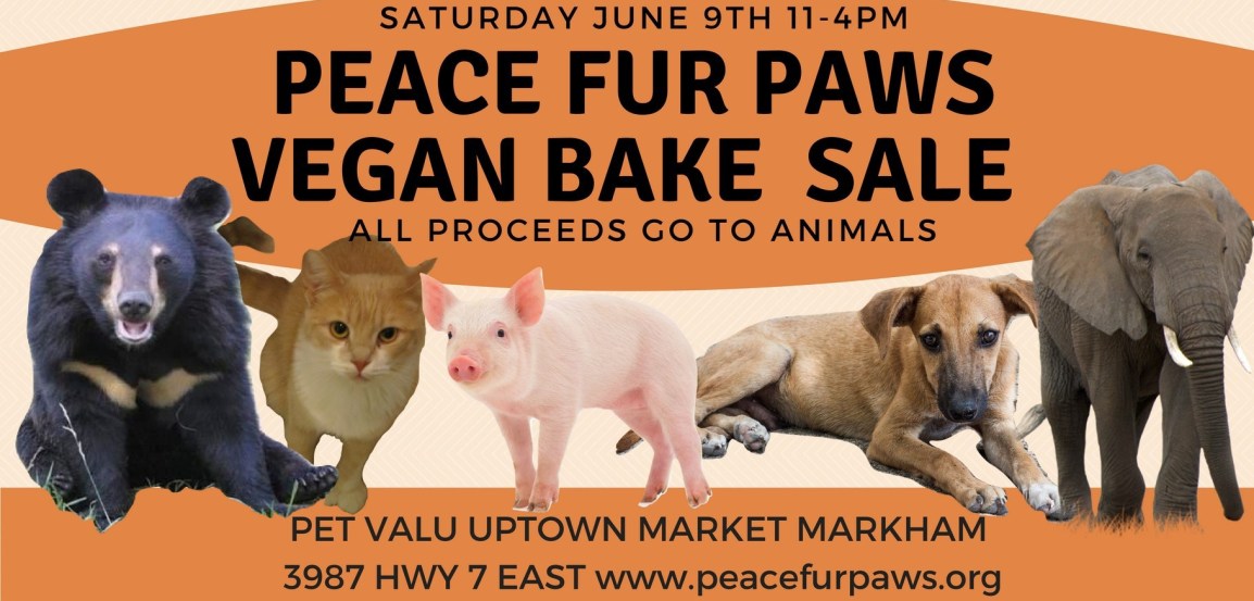Vegan Bake Sale June 9th&nbsp;11am-4pm